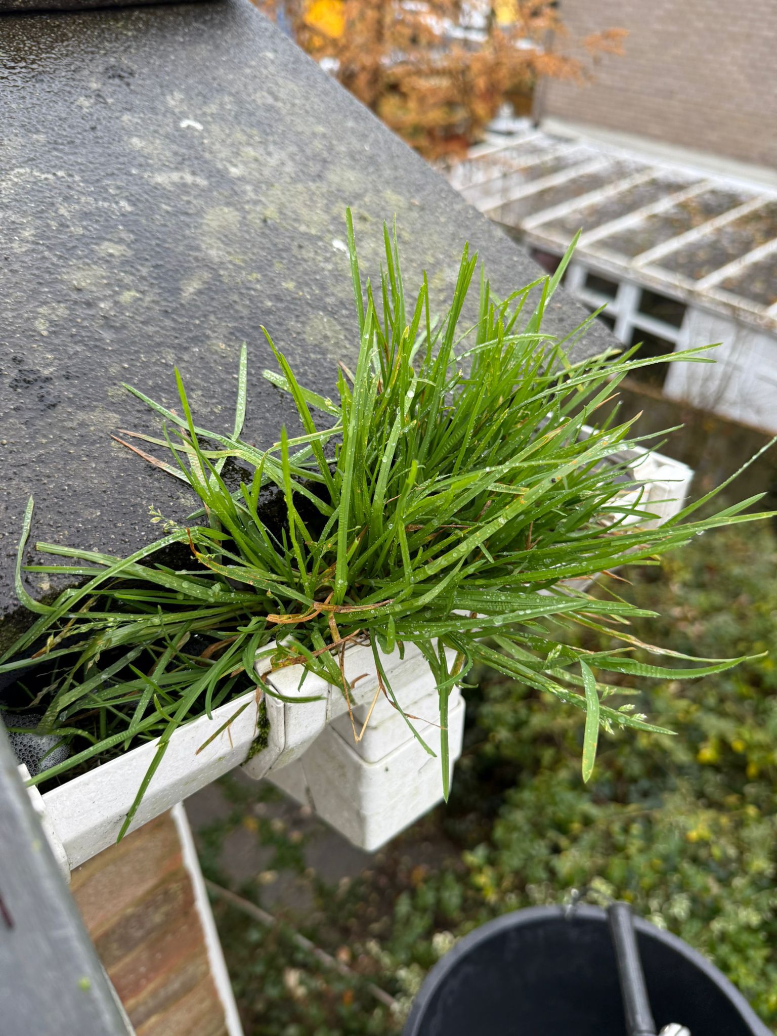 Blocked gutter downpipe in Rickmansworth